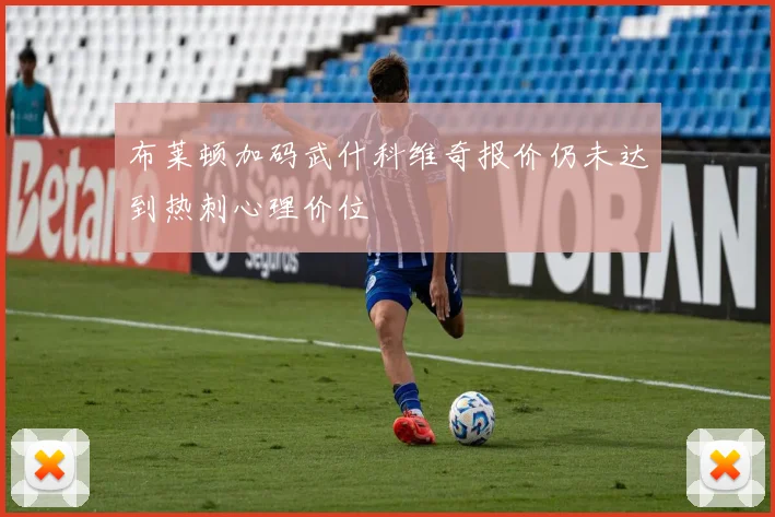 布莱顿加码武什科维奇报价仍未达到热刺心理价位