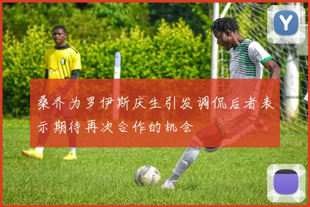桑乔为罗伊斯庆生引发调侃后者表示期待再次合作的机会