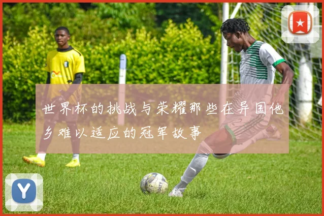 世界杯的挑战与荣耀那些在异国他乡难以适应的冠军故事